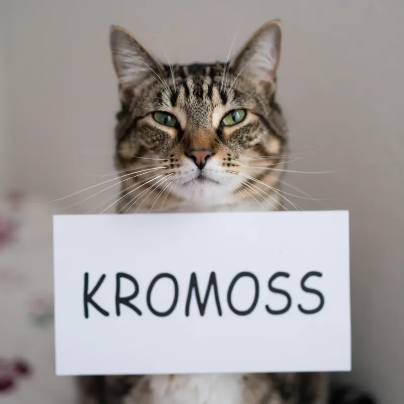Kromoss sample: a tabby cat holding a sign that reads “KROMOSS” (8 steps, DMD2 LoRA)